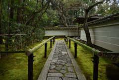 200201d大徳寺高桐院72 200201d大徳寺高桐院72