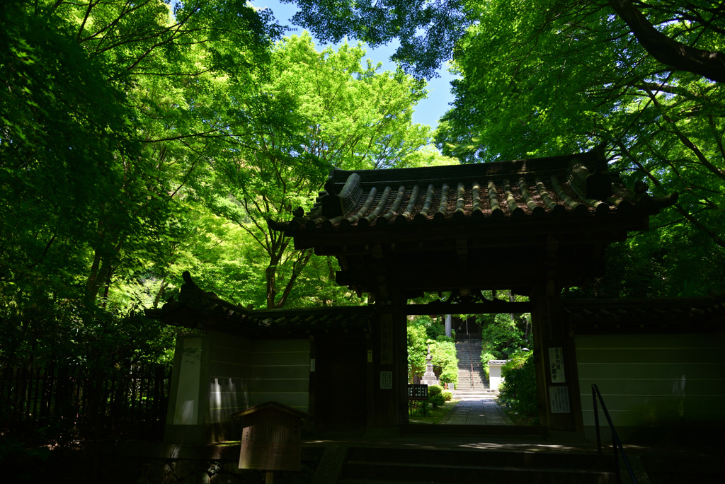 240525e来迎院26