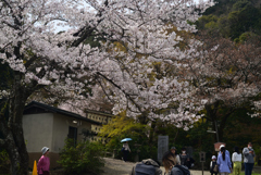 240402c大石神社10