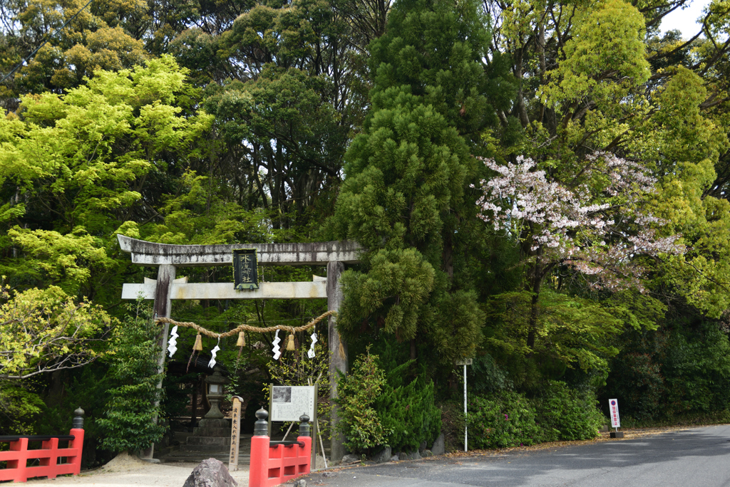 200415水度神社07