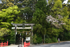 200415水度神社07