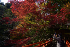 211106c西明寺48