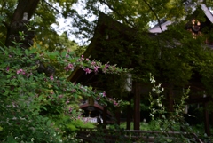 170915c梨木神社25