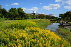 231012万博公園22