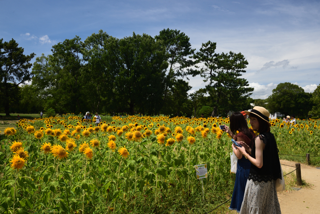 190812万博公園56