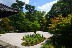 220819b蘆山寺24