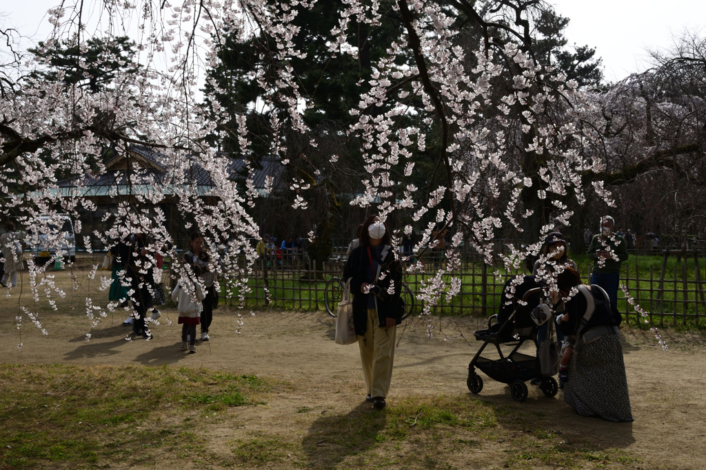 220325d京都御苑14