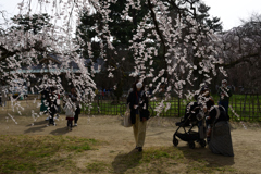 220325d京都御苑14