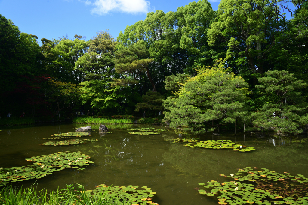 220607平安神宮53