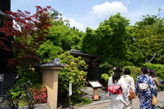 230527a天龍寺01