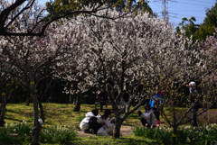 200224a山田池公園42