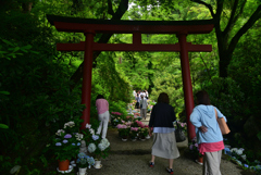 240629a岡寺36