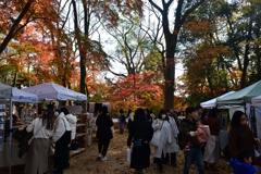 251207b下鴨神社24