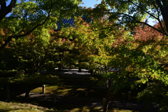 211029c智積院58