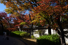 201114大阪城19