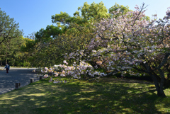 210407e京都御苑32