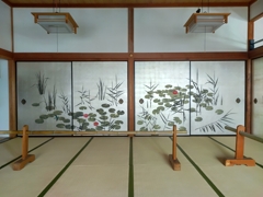 250916妙蓮寺3