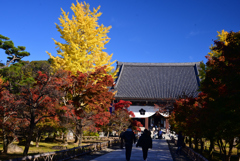 241125b智積院09