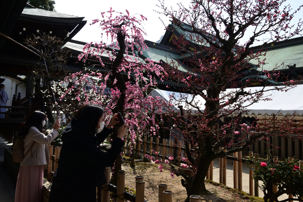 220305b大阪天満宮07