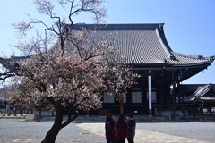 250314c興正寺03