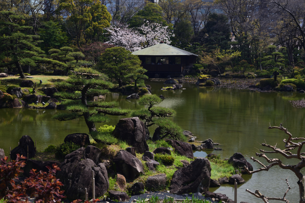 190405a天王寺公園47