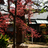 250412四天王寺01