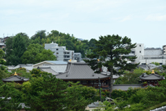 250718宇治市13