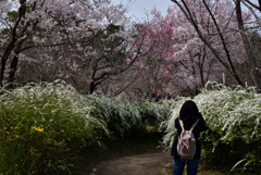 190329b京都植物園02