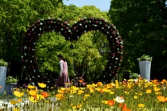 180421長居植物園05+