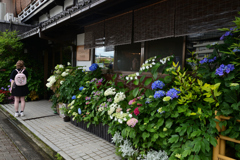 230601a京大病院05