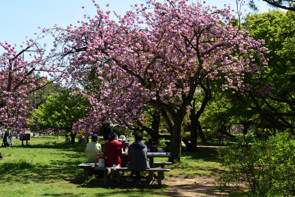 210410b京都御苑29