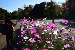 201121a京都植物園59