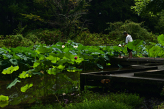 220823京都植物園09