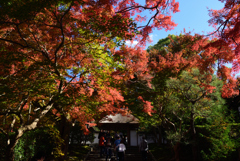 191123c安楽寺17