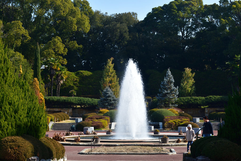 260117a京都植物園06