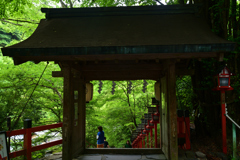 230528c貴船08