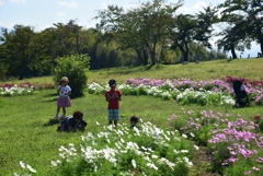 181009馬見丘陵02