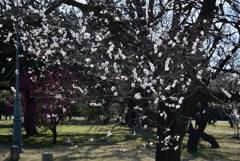 210224b京都御苑38