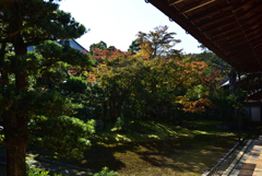 191109c清凉寺24