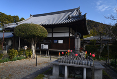 220116b恵心院08