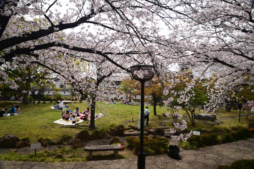 230331b勝竜寺城10