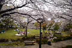 230331b勝竜寺城10