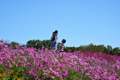 201025万博公園53