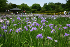 200609馬見丘陵公園25