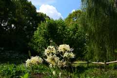 221001万博公園06