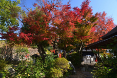 211126d宇治川24