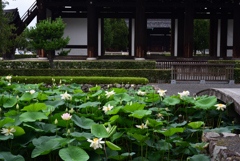 190713a東福寺14