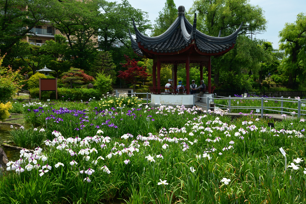 250607水月公園13