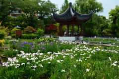 250607水月公園13