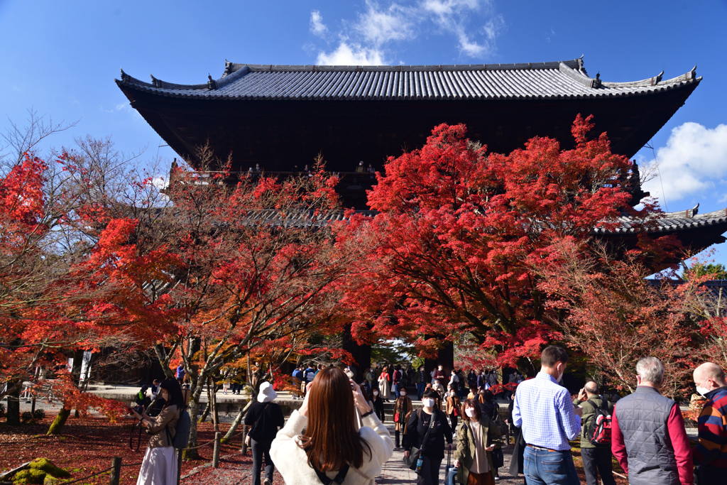 221127a南禅寺18
